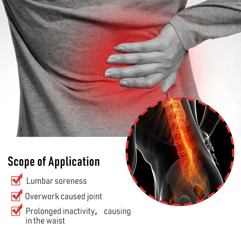 60/6 PCS Lumbar Pain Patch Wor - Herbal Wellness Patches 评论和价格
