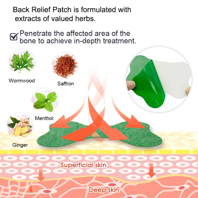 60/6 PCS Lumbar Pain Patch Wor - Herbal Wellness Patches 评论和价格